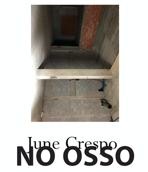 June Crepo: "No Osso" - A Certain Lack Of Coherence, Porto - 