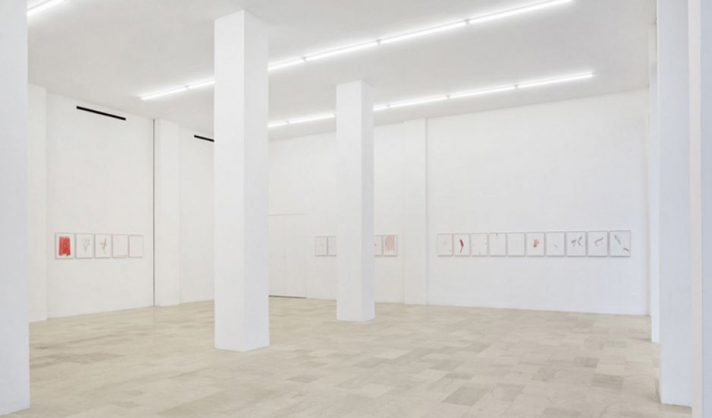 #Riccardo_Baruzzi, solo exhibition, P420 Gallery, Bologna, review by #SoloSapere.it - 